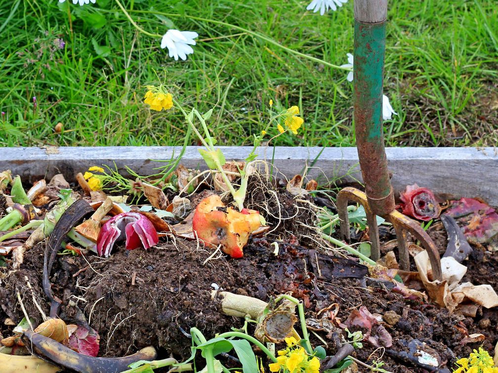 What Is Composting And Why You Should Try It 